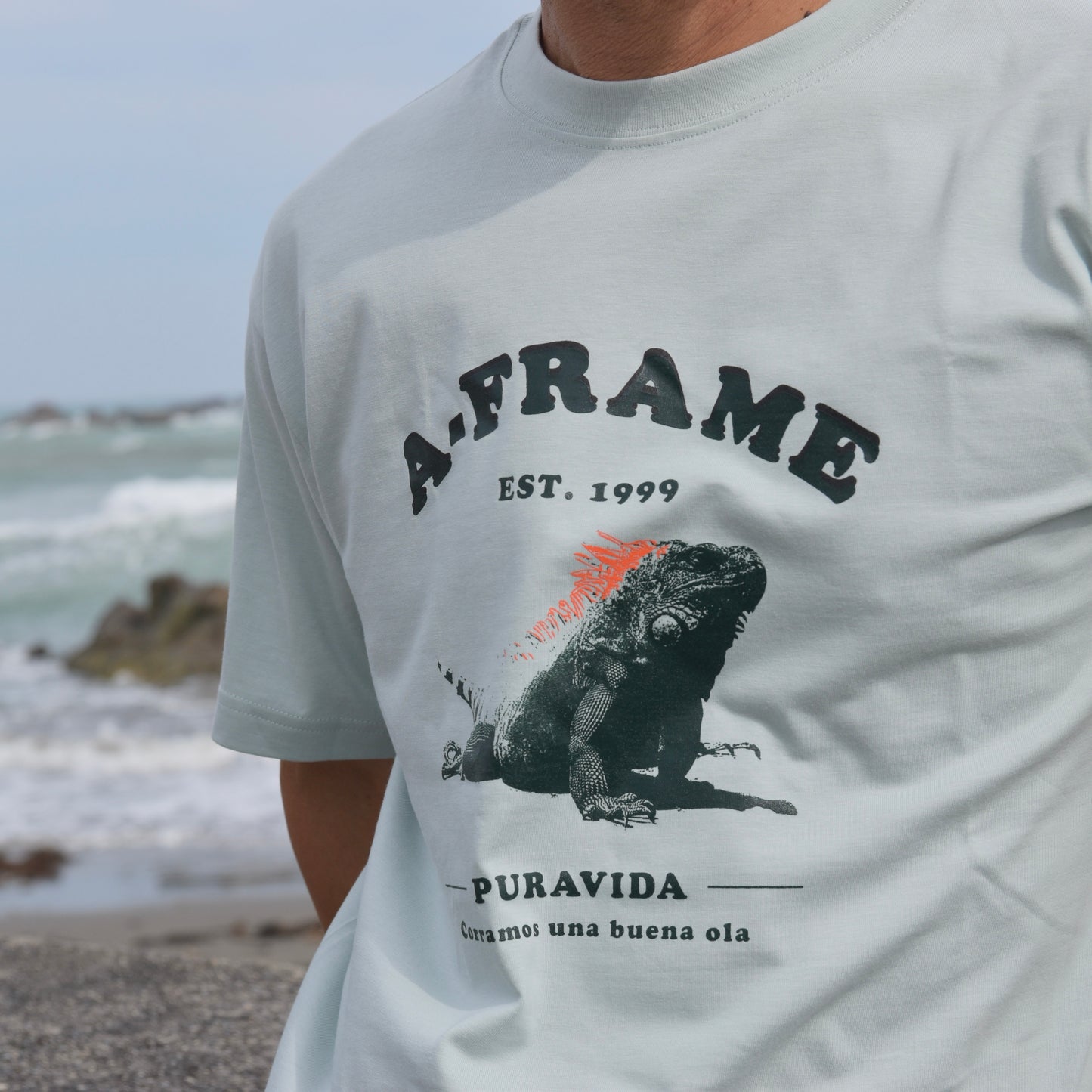 Pura Vida T3