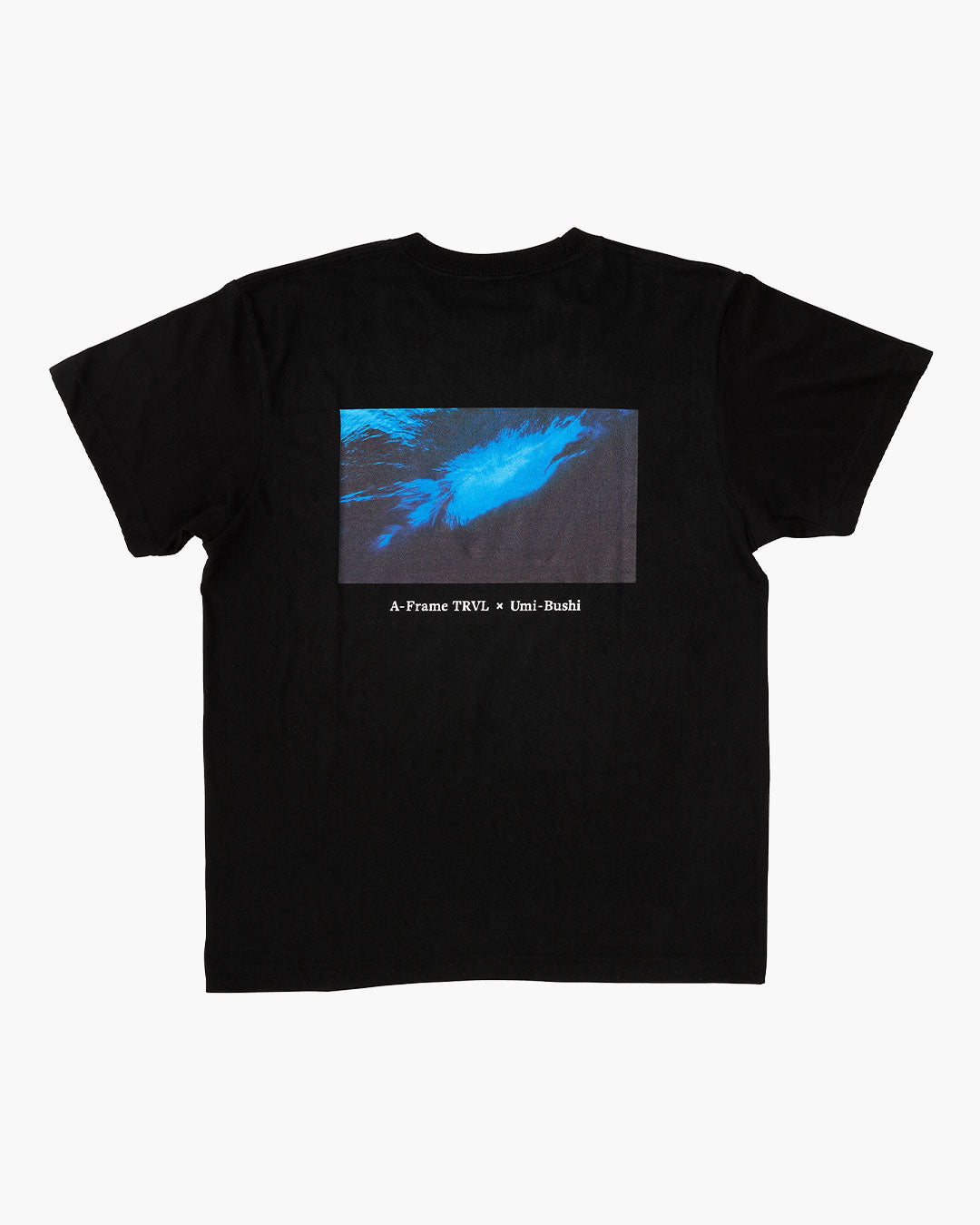 Aframe×Umibushi T-Shirts Tシャツ 杏橋幹彦 プロジェクト