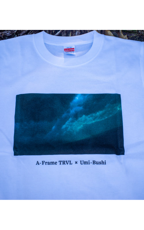 Aframe×Umibushi T-Shirts Tシャツ 杏橋幹彦 プロジェクト