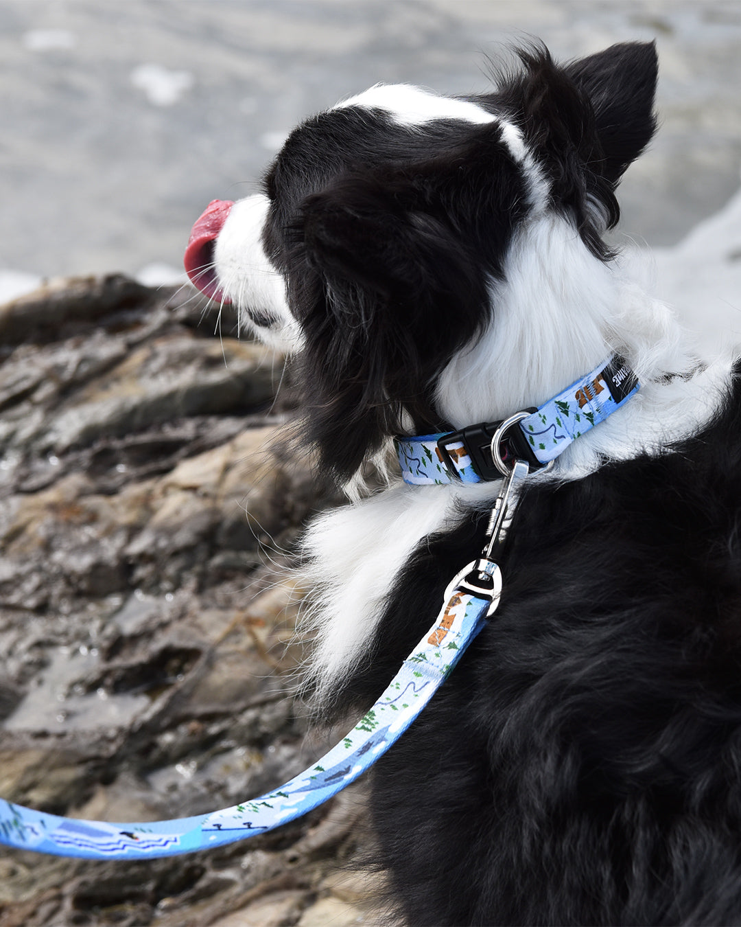 A-frame お散歩に犬用首輪 カナダの雪山のデザイン